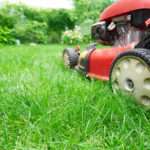 Comment poser un gazon de placage ?
